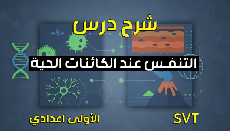 ملخص درس التنفس عند الكائنات الحية
